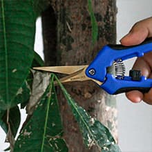 12PCS Pruning Shears with Curved Blades, Garden Trimming Scissors, Gardening Hand Pruning Snips Titanium Coated Precision Bonsai Pruning Shears, Convenient Flower Cutters (Blue)