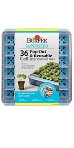 Burpee Cut & Come Again Zinnia Seeds 175 seeds