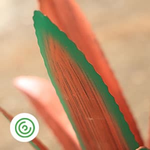 Metal Agave Plant Home Decor, Enlarge Thickened Metal Agave Garden Art for Outdoor Decor, Patio Lawn, Garden Sculpture Statue Green