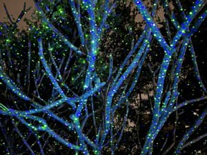 Poeland Christmas Laser Projector Lights Waterproof Outdoor Garden Decorative Lighting with Security Lock 3 Color Red Green Blue