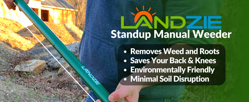 Landzie Weeder Weed Puller Tool, 44 Inch Steel Stand Up Weed Puller with Long Handle, Manual Weeders Weed Remover Tool Stand Up Heavy Duty Weed Picker and Weed Digger Garden Lawn Weed Tool