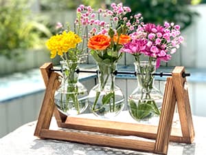 XXXFLOWER Plant Terrarium with Wooden Stand, Air Planter Bulb Glass Vase Metal Swivel Holder Retro Tabletop for Hydroponics Home Garden Office Decoration - 3 Bulb Vase