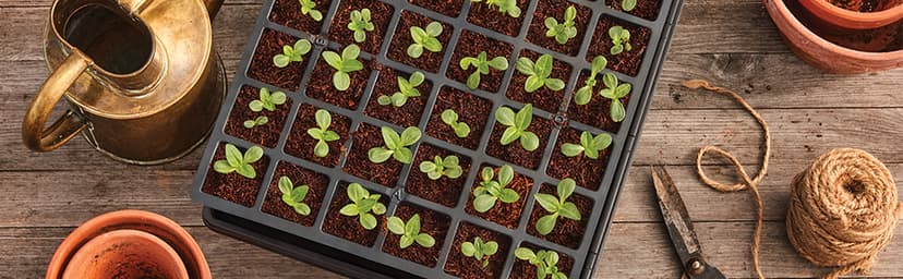 Burpee Waxed Canvas Garden Tool Tote | Heavy-Duty Tote Bag Storage Organizer for Gardening Tools | Great Gift for Gardeners | Canvas Tote Bag Caddy 8 Exterior Pockets for Tool Storage, 12" H x 14.5" W