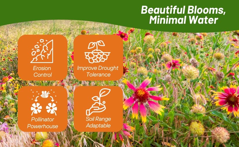 Outsidepride Dryland Wildflower Seed Mix - 1 lb. Colorful Blend of Drought Tolerant, Annual and Perennial Wildflower Seeds for Attracting Pollinators in Arid States & Xeriscapes