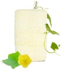 Bamboo Dish Brush Set of 3, 100% Plant-Based Kitchen Dish Brush Bamboo with Sisal and Coconut Bristles, 2 Brush Types, No Scratch Wood Sish Scrub Brush for Dishes, Quick-Drying, Odor Free