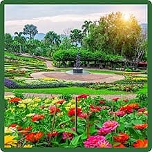 Outsidepride Dryland Wildflower Seed Mix - 1 lb. Colorful Blend of Drought Tolerant, Annual and Perennial Wildflower Seeds for Attracting Pollinators in Arid States & Xeriscapes