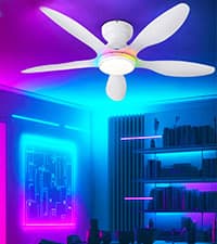 Ceiling Fans with Lights, 51 inch Modern Black Low Profile Ceiling Fan with Light and Remote App Control, Flush Mount, Quiet DC Reversible, Dim Led Ceiling Fan 6 Blade Softer Wind Indoor/Outdoor Patio