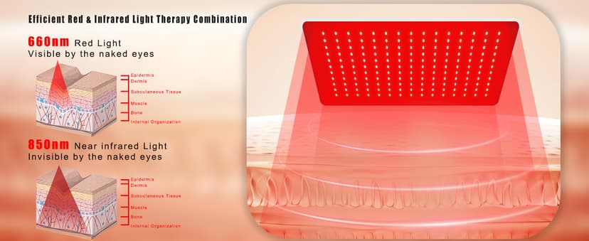 3-in-1 Red Light Therapy for Face and Body, 36W Red Light Therapy Lamp with Stand and Timer, Red Light Therapy Belt with 660nm & Infrared 850nm, for Pain Relief, Improve Sleep, Skin Health