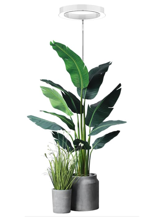 Plant Grow Light,yadoker LED Growing Light Full Spectrum for Indoor Plants,Height Adjustable, Automatic Timer, 5V Low Safe Voltage,Idea for Large Plant Light