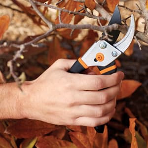 Fiskars Bypass Pruning Shears, 5/8-Inch Cut Capacity Garden Clippers, Gardening Scissors with Sharp, Rust Resistant Steel Blade