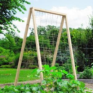 Tcamp Heavy-Duty Polyester Garden Trellis Netting Plant Climbing Net for Growing Vines Plants Vegetables Fruits Flowers, White Grow Tent (4.9Ft x15Ft, 3.5" Opening Mesh, 1 Pack Plant Net)
