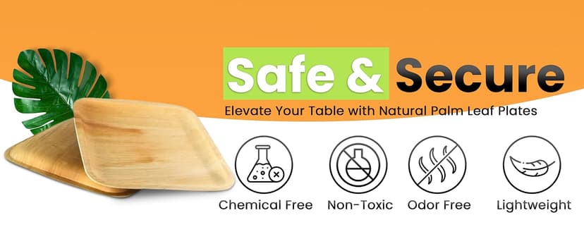 Raj Eco Compostable Palm Leaf Plates Like Bamboo Plates Disposable - 8 Inch Square 50 party plates, Natural wooden, Eco-Friendly, fancy Biodegradable & Disposable Dessert appetizer Plates