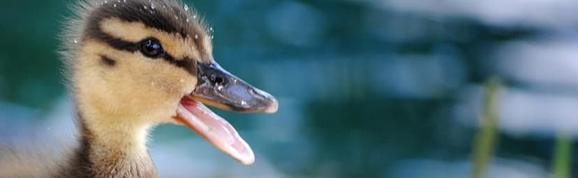 Hand-Carved Cardinal Figurine –Red Wood Bird Figurine Miniature Garden Statue Carving Home Decor Sculpture, Miniature Wildlife Sculpture, Handmade Garden Ornament & Rustic Home Decor Accent