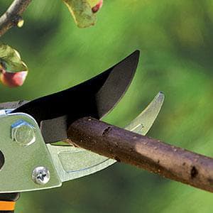 Fiskars Bypass Pruning Shears, 5/8-Inch Cut Capacity Garden Clippers, Gardening Scissors with Sharp, Rust Resistant Steel Blade