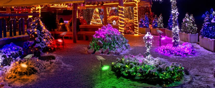 Solar Spotlights Outdoor Waterproof Solar Landscape Lights, Color Changing Solar Powered Garden Lights, Auto On/Off Solar Spot Lights for Outside, Multicolor, 4 Pack, JY2226