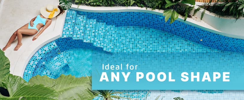 Dolphin Liberty 200 and Skimmi Cordless Robotic Pool Cleaning up to 33 FT - Wall Climbing Scrubber