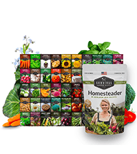 Drought-Tolerant Vegetable Seed Collection - 10 Packets of Seeds to Grow Drought-Resistant Plants for Growing in Home Vegetable Gardens - Non-GMO Heirloom Open-Pollinated - Survival Garden Seeds