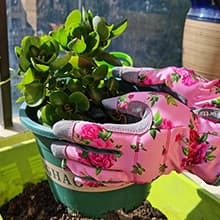 Leather Gardening Gloves for Women, Flexible Breathable Garden Gloves,Thorn Proof Working Gloves for Weeding, Digging and Pruning, Medium, Pink