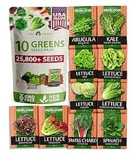 HOME GROWN Bloomsdale Spinach Seeds Pack – 353 Heirloom 𝗡𝗢𝗡-𝗚𝗠𝗢 𝗨𝗦𝗔-𝗦𝗢𝗨𝗥𝗖𝗘𝗗 Seeds – High Germination Spinach for Indoor, Outdoor, Hydroponic Planting & Home Gardens (Spinacia oleracea)