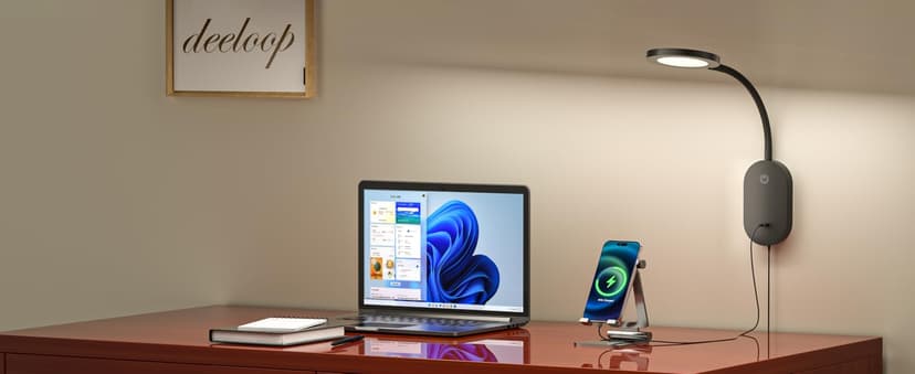 deeloop LED Wall Mounted Reading Light for Bed, Book Light for Wall Bedside Lamp with USB Output, 4 Hour Auto-Off Timer Lights,Eye-Caring Reading Lamp with 5 Dimmable 360° Gooseneck Headboard Light