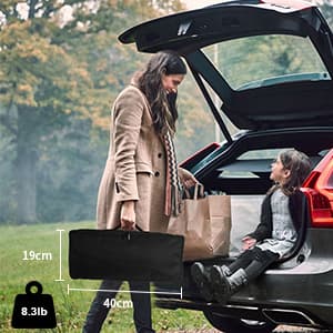 Projector Screen with Stand, Wootfairy 100 inch Foldable and Portable Projection Screen 16:9 4K HD Rear Front Wrinkle-Free Movie Screen with Carry Bag for Indoor Outdoor Home Theater Backyard Cinema