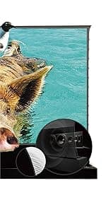 VIVIDSTORM Motorized Floor Rising UST ALR Projector Screen for Home Theater, Tensioned Wrinkle-Free Surface, Smart App and Voice Control, No Wall Mount Needed,VSDSTUST120H