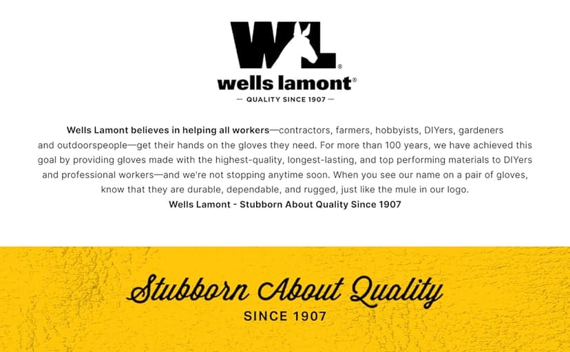 Wells Lamont 2 Pair Pack Men's Leather Work Gloves with Heavy Duty Reinforced Palms, Large (4006N-WNW) , Grey