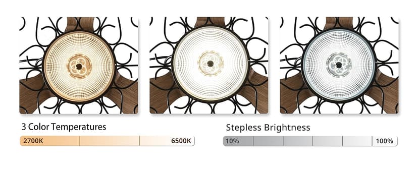 Orison Outdoor Ceiling Fans with Light, 21'' Wet Rated Outdoor Hanging Fan for Gazebo, Plug in Caged Lighting for Pergola Canopy, Hanging with Hook, 3 Color LED Light, Waterproof