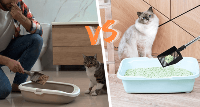 KeFanta Cat Litter Scoop, 41in Metal Kitty Poop Scooper, Heavy Duty Stainless Steel Sifting Shovel with Long Handle for Chicken Coop