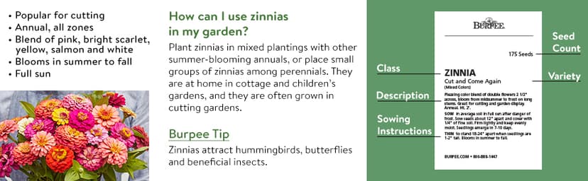 Burpee Cut & Come Again Zinnia Seeds 175 seeds