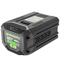 Greenworks 80V 8" Brushless Cordless Edger, Battery and Charger Not Included