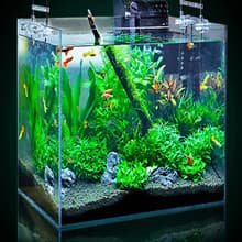 Garden Pump With Hose, 115V 1/10HP 330GPH Mini Electric Water Transfer Pump Waterbed Drain Pump, With Suction Hose Kit.