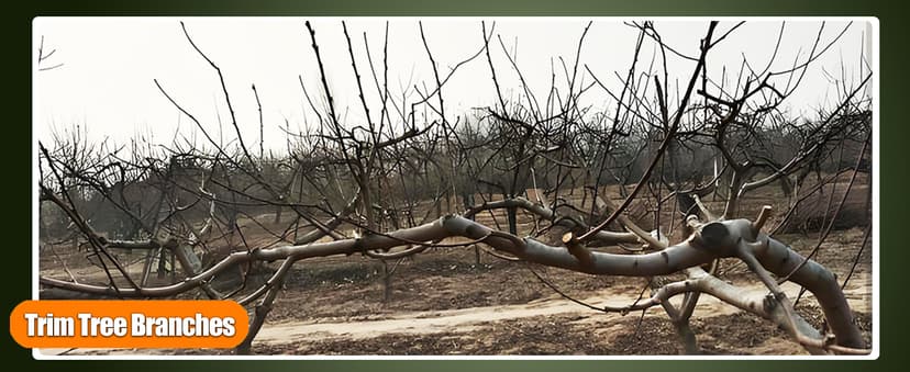 12-Inch Cordless String Trimmer & Edger, (2 x 21V 4.0Ah Electric Brush Cutter Battery Powered), with Auxiliary Bracket, Side Ball, 90° Rotary Head, Telescopic Handle, 3 Cutting Methods(WEG21T)