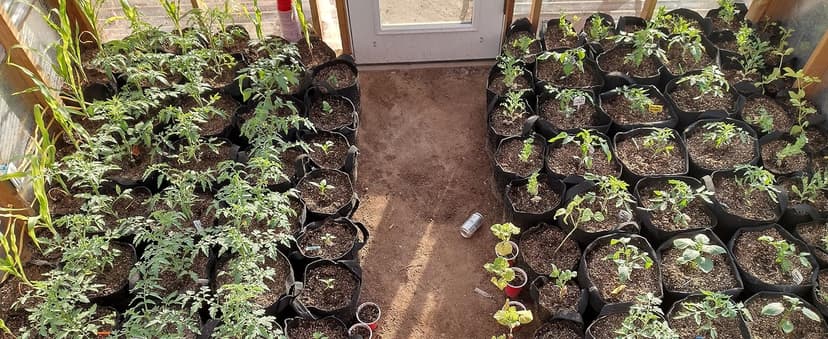 Gardzen 20-Pack 5 Gallon Grow Bags, Aeration Fabric Pots with Handles