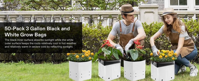 VIVOSUN 50-Pack 3 Gallon Grow Bags for Plants, Black-and-White Thick Plastic Bags for Potting Seedlings, and Rooting