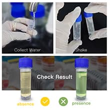AquaDx 2 Pcs Water Bacteria Test Kit Total Coliform and E.coli Testing for Home Water Drinking Water Pool Pond Ground Well Water – Water Quality Test Kit Easy to Use