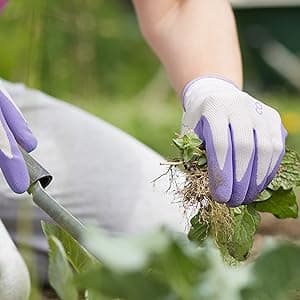 COOLJOB 2 Pairs Gardening Gloves for Women Ladies, Breathable Rubber Coated for Yard Garden, Outdoor Indoor Protective Work, Medium Size, Lavender Purple & Apple Green