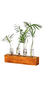 Kingbuy Hydroponic Glass Vase Vintage Desktop Plant Terrarium Planter Bulb Vase Water Planting Propagation Vase Planters Hydroponics Plants with Retro Wooden Stand Home Garden. (E(2 Heart Vase))