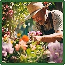 Outsidepride Dryland Wildflower Seed Mix - 1 lb. Colorful Blend of Drought Tolerant, Annual and Perennial Wildflower Seeds for Attracting Pollinators in Arid States & Xeriscapes