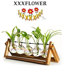 XXXFLOWER Plant Terrarium with Wooden Stand, Air Planter Bulb Glass Vase Metal Swivel Holder Retro Tabletop for Hydroponics Home Garden Office Decoration - 3 Bulb Vase