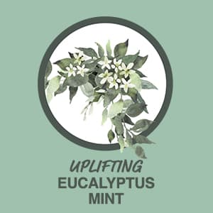 Hot Tub Aromatherapy 24 Pack – Now 2X Stronger - Set of Relaxing Spa Scents Including Lavender, Eucalyptus, Vanilla, Coconut, and More – Paraben-Free, Hot Tub Accessories for Adults