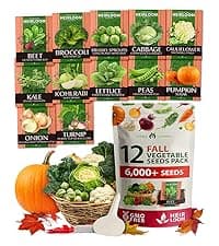 HOME GROWN Bloomsdale Spinach Seeds Pack – 353 Heirloom 𝗡𝗢𝗡-𝗚𝗠𝗢 𝗨𝗦𝗔-𝗦𝗢𝗨𝗥𝗖𝗘𝗗 Seeds – High Germination Spinach for Indoor, Outdoor, Hydroponic Planting & Home Gardens (Spinacia oleracea)