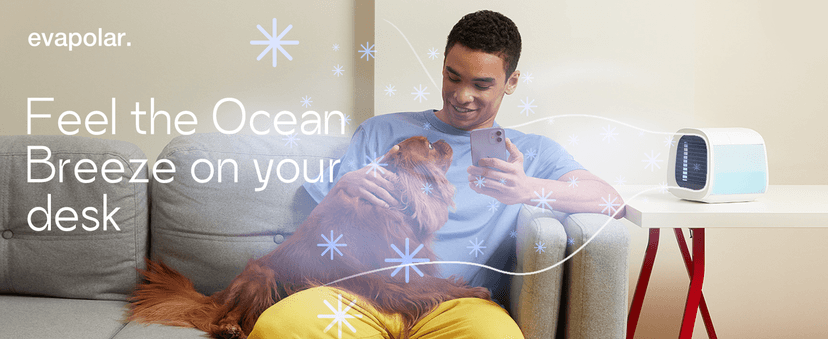 Evapolar evaCHILL Portable Air Conditioners - Portable AC Unit - Small Personal Evaporative Air Cooler & Fan for Desk, Office, Car, Camping, White