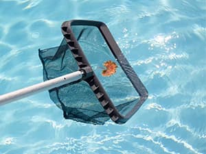 Goplus Pool Cover, 16 x 32 FT Solar Blanket with Carrying Bag for In-Ground and Above-Ground Swimming Pools, Rectangle Hot Tub SPA Thermal Blanket, Blue Bubble