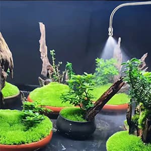 Mist Watering Wand For Hanging Baskets,25 Inch Spray Wand With Adjustable Nozzle, Car Pet Window Cleaning Tool, Great For Watering Seedbeds, Hanging Plants, Deck Plants.(90-degree curved nozzle)