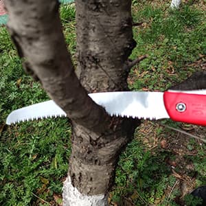 10 Inch Heavy Duty Pruning Saw, Folding Hand Saw with SK5 Curved Blade, Triple-cut Razor Teeth Used for Trees Wood Cutting Camping Gardening Work, Hiking, Landscaping, Tree Trimming