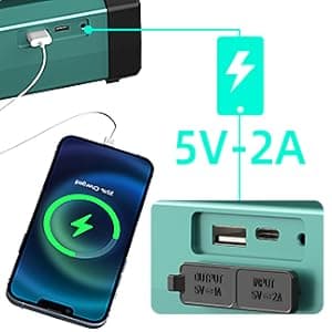 Portable Rechargeable Fan - 9-Inch Camping Fan for Tent, 20000mAh(60Hrs) Battery Operated Fan for Camping, Auto Oscillation Cordless Fan, Tent Fan with Remote/Light, 4 Speeds, 4 Timing, Outdoor