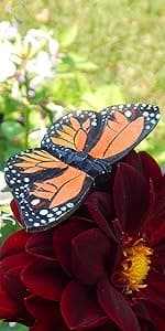 Hand-Carved Cardinal Figurine –Red Wood Bird Figurine Miniature Garden Statue Carving Home Decor Sculpture, Miniature Wildlife Sculpture, Handmade Garden Ornament & Rustic Home Decor Accent