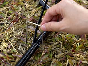 Standing Misters for Outside Patio - Adjustable 5.3FT Portable Misting System Cooling Outdoor 32.8Ft Stand Misting Long Water Line for Kids Mist Playing, Patio Cooling, Backyard, Porch, Sprinkler