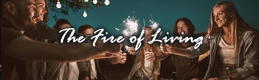 Full-Length Outdoor Vinyl Cover for Spiral Flame LPG Patio Heaters with 21" Round Reflectors